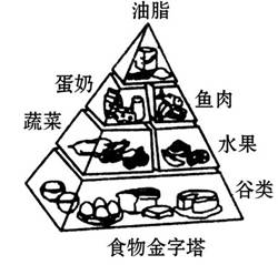营养饮食金字塔简笔画，为孩子打造健康饮食的基础