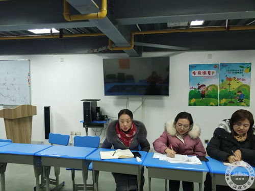 确保安全与乐趣，大型游乐活动的标准与实践