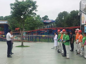 确保安全与乐趣，大型游乐活动的标准与实践