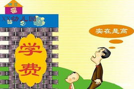 幼儿园教育学，培养未来社会小公民的基石