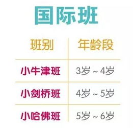 幼儿园教育学，培养未来社会小公民的基石