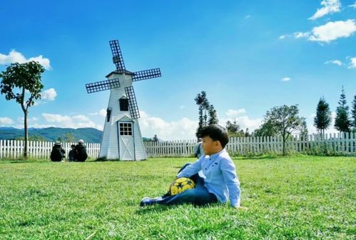 亲子旅行，在探索中成长