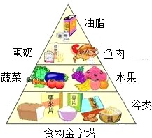 食物中的营养成分六大类，为孩子健康成长打下坚实基础