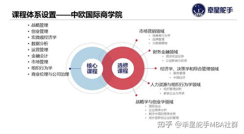 探索乐趣，提升亲子关系的活动案例分析