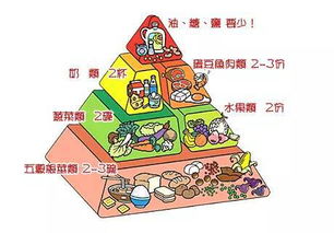 全面了解，每种食物的营养价值表及其对儿童成长的重要性