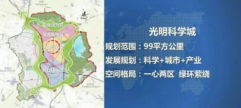 为孩子的未来绘制蓝图，成长规划的总体目标