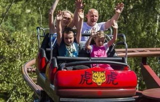 亲子游乐园，提升亲子关系的魔法乐园