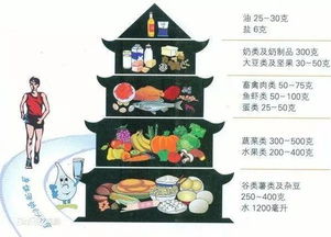 宝宝健康成长，一日三餐食谱及各食物营养价值解析