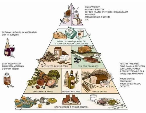 构建孩子的营养金字塔，科学喂养指南