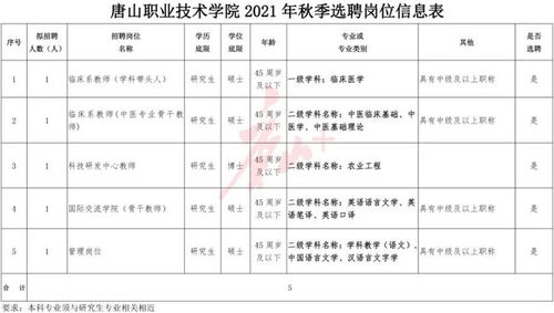 幼儿教育专业名称填写指南，如何准确表达您的专业背景