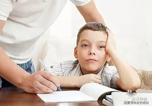 做温暖的教育者，在育儿中寻找温度与智慧