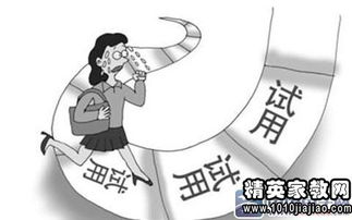 培养员工创新精神，企业育儿专家的角色与策略