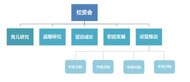 企业成长与发展中的育儿智慧，培养下一代领导者