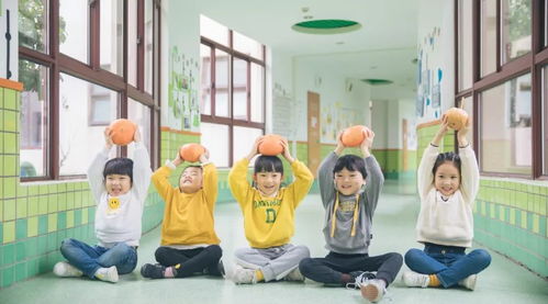 探索幼儿园教师职业的魅力，为何选择成为孩子们的启蒙者