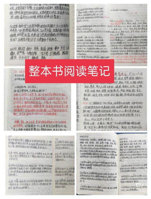 全面促进学生发展，学生成长中心的年度工作计划