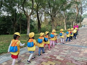 在树上玩耍，培养儿童户外探索能力的重要性