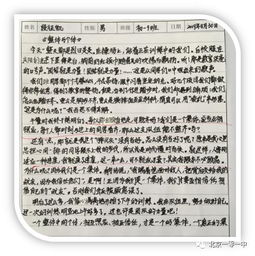 初一新生的成长蓝图，300字精炼版