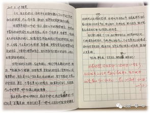 初一新生的成长蓝图，300字精炼版