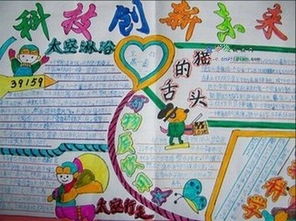 探索食物的奥秘，四年级上册科学课程中的食物营养手抄报