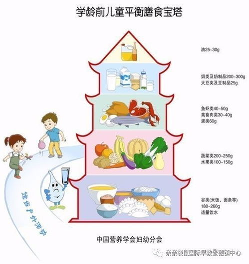 营养膳食金字塔，孩子健康成长的基石