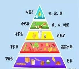 全面关注，孩子成长与发展的关键要素