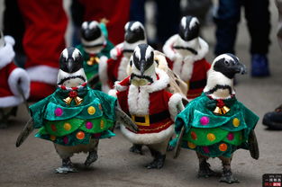 亲子时光，在游乐场的英语游记