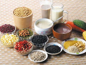 营养宝库，揭秘营养价值最高的食物排行榜