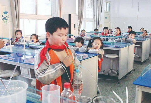 全面关注，教师如何全方位关注孩子的成长与发展