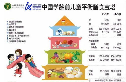 中班宝贝的成长蓝图，幼儿园三年成长计划的中坚力量