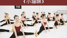 幼儿教师的舞蹈艺术，选择适合的舞蹈类型以促进儿童发展