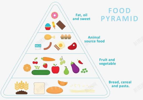 营养金字塔，孩子健康成长的基石