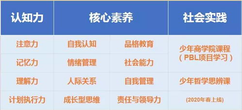 深入理解幼儿教育心理学，关键概念与实践应用