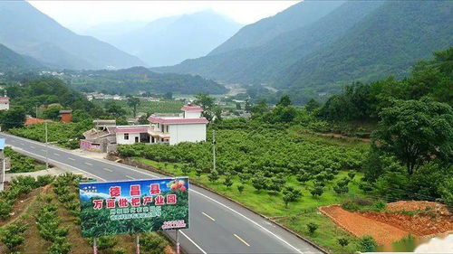 幼师资格证，开启教育之路的金钥匙