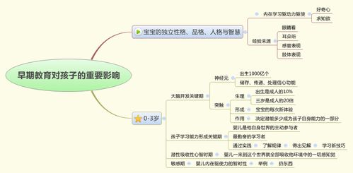 幼儿教育研究，探索早期学习与发展的关键要素