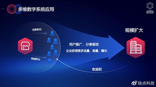企业成长的多维表现，从创新到文化的综合分析