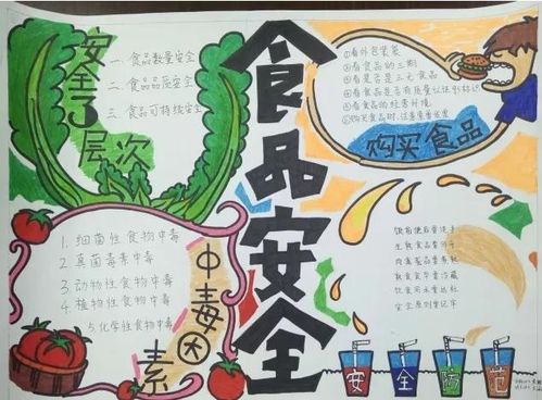 简单易学，制作食物营养手抄报的步骤和技巧