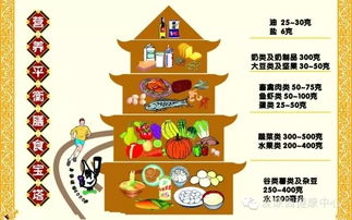 孩子健康成长的秘诀，食物营养搭配手抄报