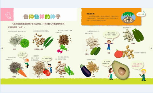 探索孩子世界的奇妙之旅，如何用生动的词汇描述活动的乐趣