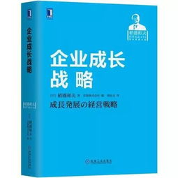 企业成长能力深度解析，策略、挑战与未来展望