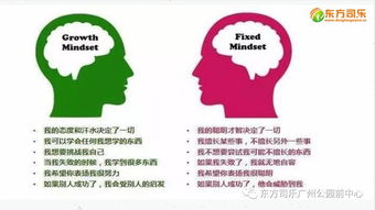 培养成长型思维，为孩子的未来成功奠定基础