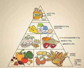 营养金字塔简笔画，为孩子打造健康饮食的基石