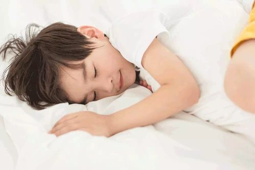 宝宝健康成长，食材营养搭配全攻略