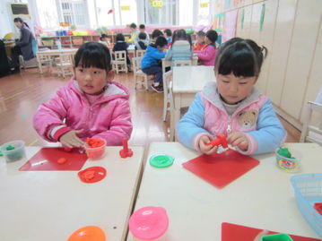 幼儿园教学视频教程，提升儿童学习兴趣与能力的有效途径