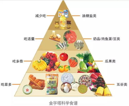 构建孩子的均衡营养食谱金字塔，科学喂养，健康成长