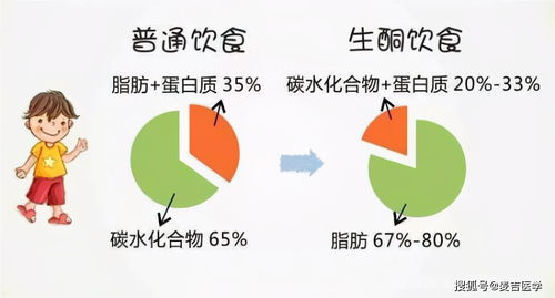 构建健康饮食，人体膳食营养金字塔的科学指南