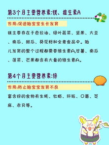 如何利用食物营养成分数据库为孩子打造健康饮食计划