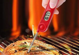 The Food Nutrition Pyramid:A Guide to Balanced Eating for Children