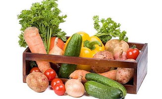 科学育儿，食物营养搭配的艺术与误区