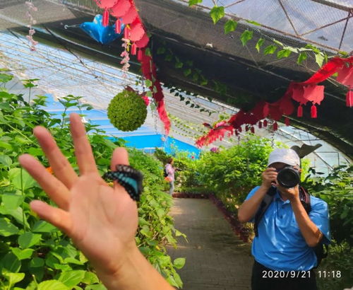 农村儿童的娱乐天堂，探索适合农村的娱乐项目