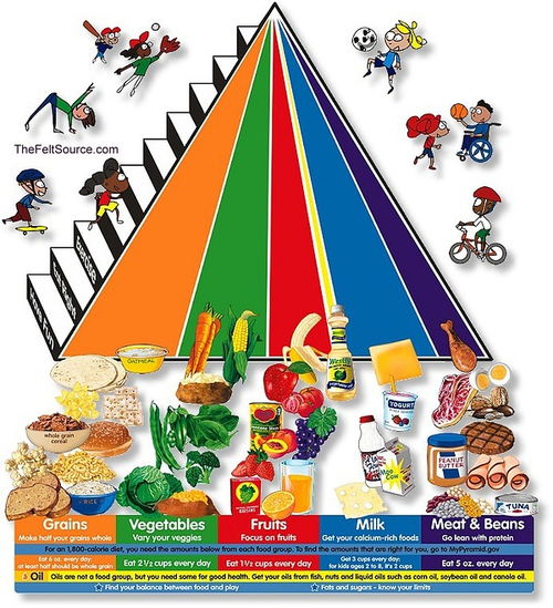 Understanding the Food Pyramid:A Guide to Balanced Nutrition for Children